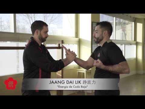 La estructura del brazo – Jaan Dai Lik
