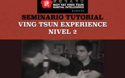 Seminario Ving Tsun Experience Nivel 2