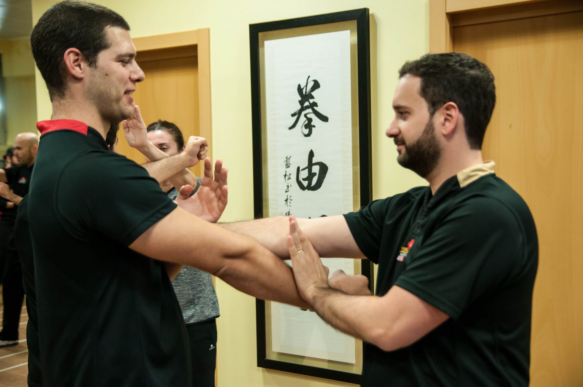 Escuela Moy Yat Ving Tsun Spain. Uno de los centros especializados en la transmisión plena del sistema Ving Tsun de Kung Fu tradicional del Maestro Marcelo Navarro.