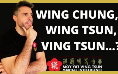 ¿Ving Tsun?, ¿Wing Chun? o ¿Wing Tsun? – En la actualidad